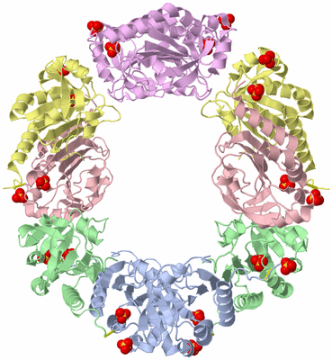 Image Biological Unit 1