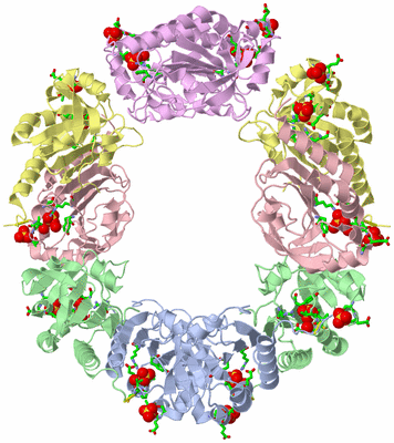 Image Biol. Unit 1 - sites