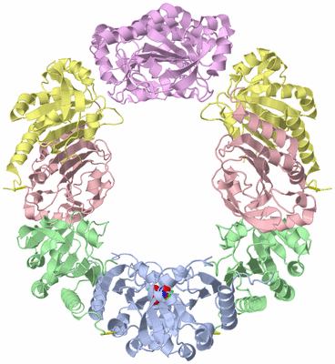 Image Biol. Unit 1 - sites