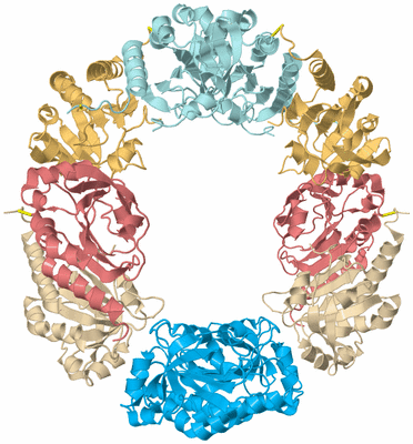 Image Biological Unit 3