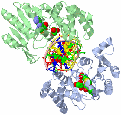 Image Asym./Biol. Unit