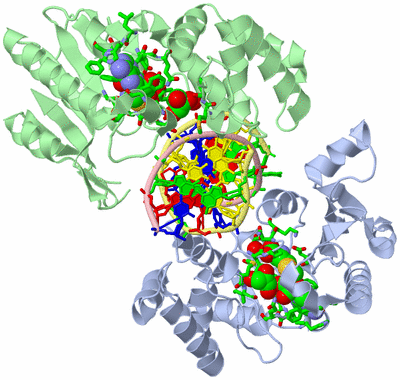 Image Asym./Biol. Unit - sites