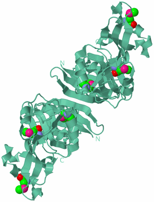 Image Biological Unit 1