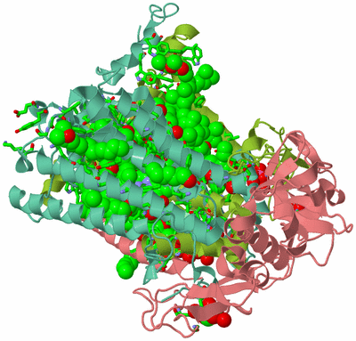 Image Asym./Biol. Unit - sites