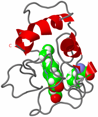 Image NMR Structure - model 1