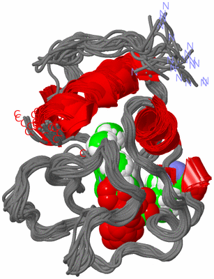 Image NMR Structure - all models