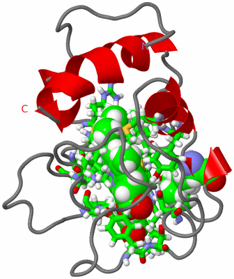 Image NMR Structure - model 1, sites