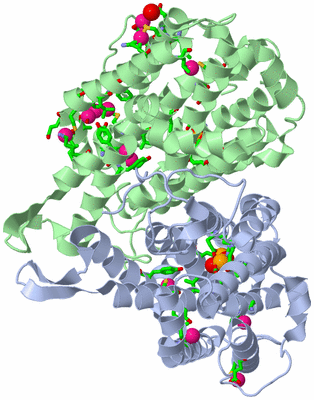 Image Asym./Biol. Unit - sites