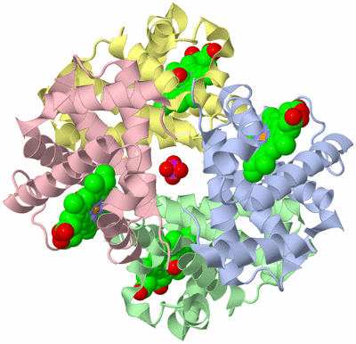 Image Biological Unit 1