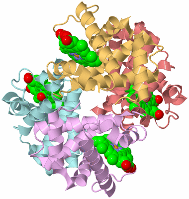 Image Biological Unit 2