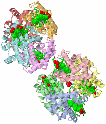 Image Asym. Unit - sites