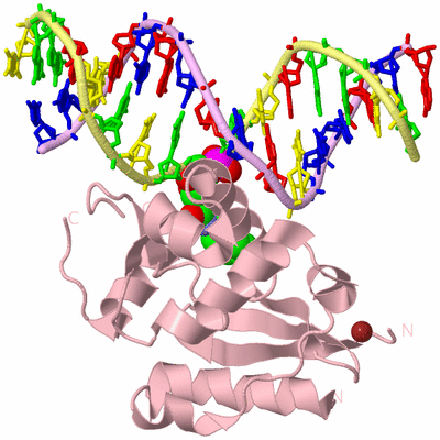 Image Biological Unit 1