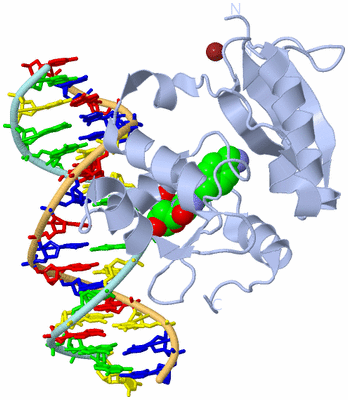 Image Biological Unit 2