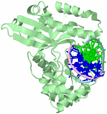 Image Biological Unit 2