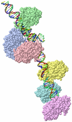 Image Asymmetric Unit