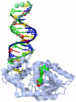 Image Biological Unit 1