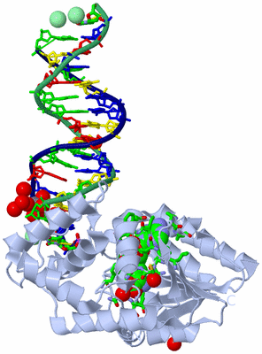 Image Biol. Unit 1 - sites