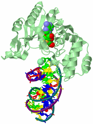 Image Biological Unit 2
