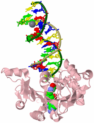 Image Biological Unit 3