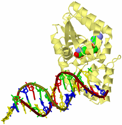 Image Biological Unit 4