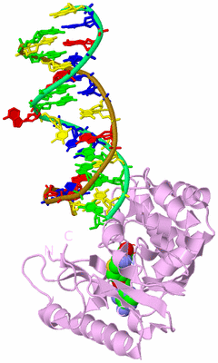 Image Biological Unit 5