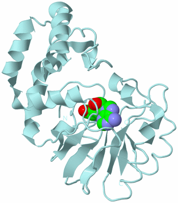 Image Biological Unit 6