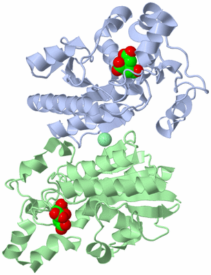 Image Asym./Biol. Unit