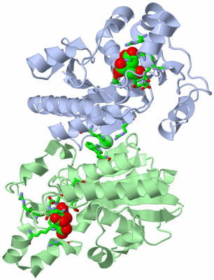 Image Asym./Biol. Unit - sites