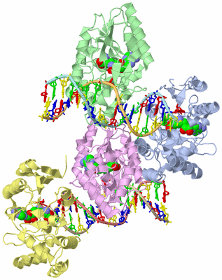 Image Asymmetric Unit