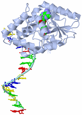 Image Biological Unit 1