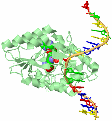Image Biological Unit 2
