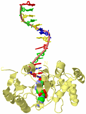 Image Biological Unit 3