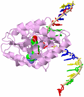 Image Biological Unit 4