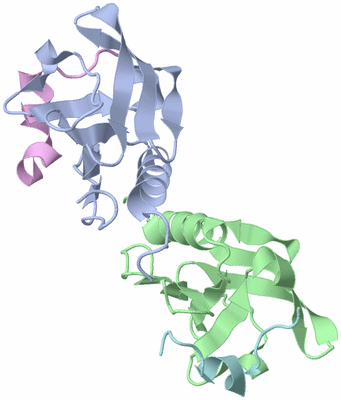 Image Biological Unit 1