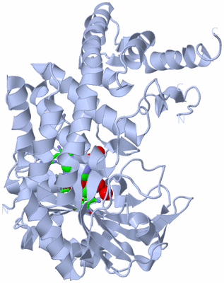 Image Biol. Unit 1 - sites