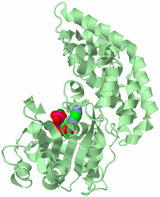 Image Biological Unit 2
