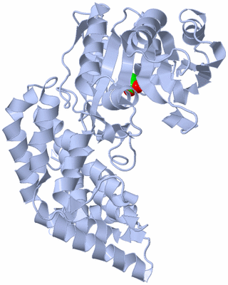 Image Biological Unit 1