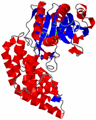 Image Asym. Unit - sites