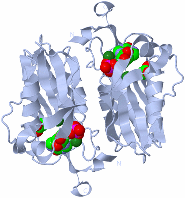 Image Biological Unit 3