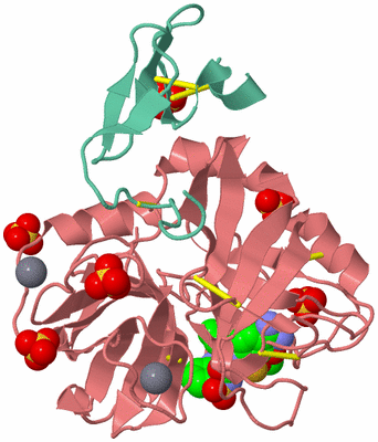 Image Biological Unit 1