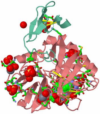 Image Biol. Unit 1 - sites