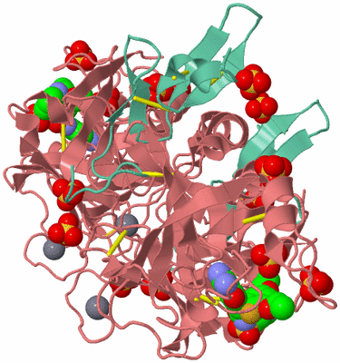 Image Biological Unit 2