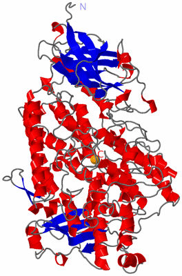 Image Asym./Biol. Unit