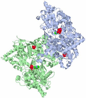 Image Asym./Biol. Unit