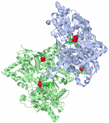 Image Asym./Biol. Unit - sites