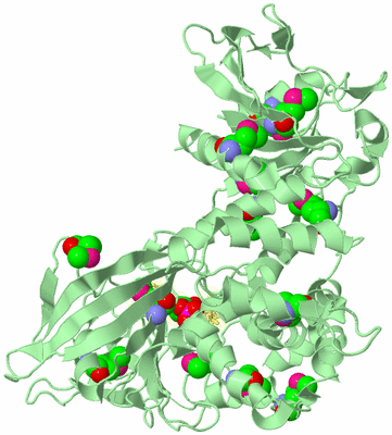 Image Biological Unit 2