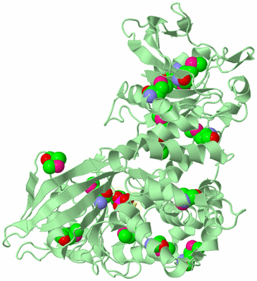 Image Biological Unit 2