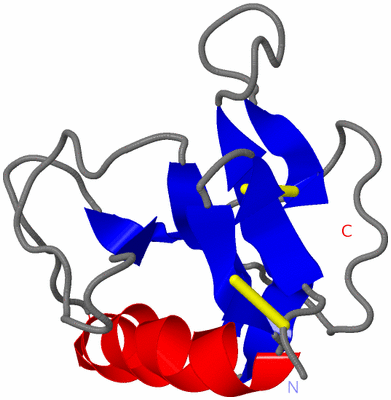 Image NMR Structure - model 1