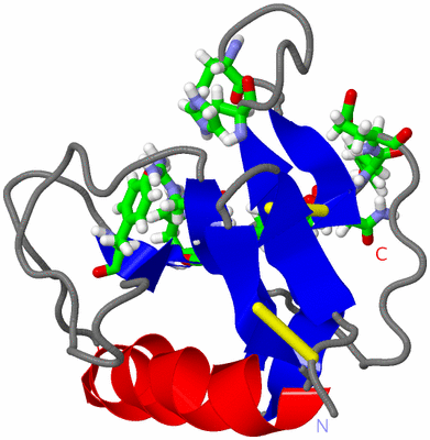 Image NMR Structure - model 1, sites