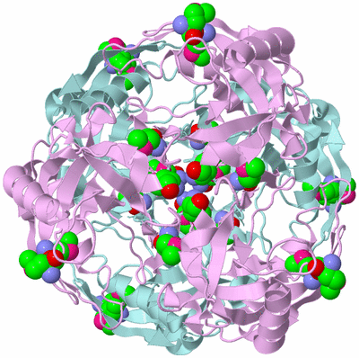 Image Biological Unit 2